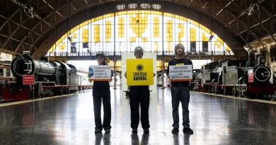 ไทยร่วมกว่า 20 ประเทศทั่วโลก เรียกร้องธนาคารโลกยุติการสนับสนุนฟาร์มปศุสัตว์ เชิงอุตสาหกรรม ก่อนประชุมใหญ่ที่กรุงเทพฯ ซิเนอร์เจีย แอนนิมอล ชี้ทิศทางการลงทุนต้องสอดคล้องเป้าหมายความยั่งยืน สุขภาพ และระบบอาหารในอนาคต