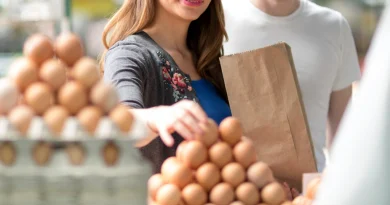 ก่อนเลือกซื้อไข่ ลองถามแม่ไก่ดู! ซิเนอร์เจีย แอนนิมอล ชวนมองให้ลึกกว่า “คำบนกล่อง”